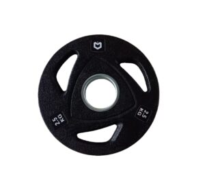 Anilha Emborrachada 2.5KG