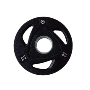 Anilha Emborrachada 2.5KG