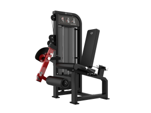 Cadeira Extensora de Pernas