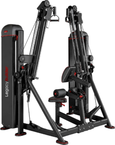 Back Training Machine
